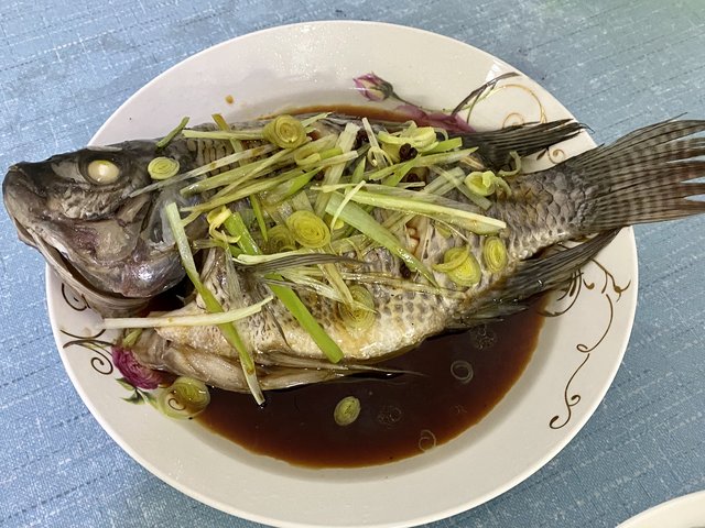清蒸海鲈鱼